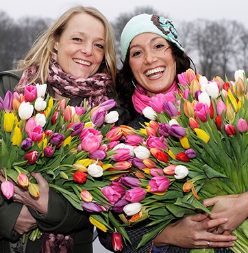 Tulpen aanbieding Veenendaal
